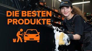 Die Top 4 der besten Karosserie-Reinigungsprodukte | Tipps von AUTODOC