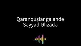 Qaranquslar gelende karaoke - Seyyad Elizade - Azerbaijani karaoke