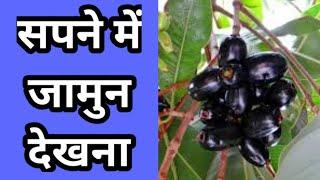 सपने में जामुन देखना ,sapne me jamun dekhna,seeing blackberry in dream, blackberry dream meanings