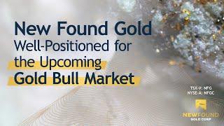 New Found Gold - Well Positioned for the Upcoming Gold Bull Market :30  (TSX-V: NFG;  NYSE-A: NFGC)