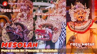 TEDUN MESOLAH Sesuhunan Sami Barong Bangkal, Barong Asu & Pelawatan Sangut | Pura Sada Br. Pacung