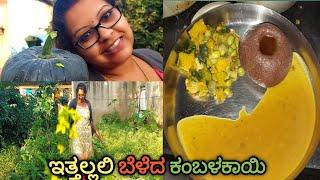 ಅವರೇಕಾಯಿ ಮತ್ತು ಕುಂಬಳಕಾಯಿ ಬಸ್ಸಾರು/Avarekai bussaru/Avarekai recipe/Avarekai sambar/pumpkin recipe