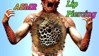 Asmr Treatment Animation | Remove moggot from infected head | 2d animation #mox_21