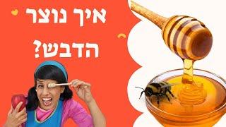 איך נוצר הדבש לילדים