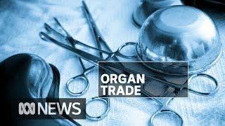 The illegal trade of buying organs on the black market | ABC News