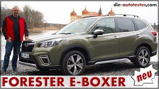 2020 Subaru Forester 2.0ie e-Boxer 110 kW (150 PS) Test Probefahrt Preis Motor Verbrauch Neu Deutsch