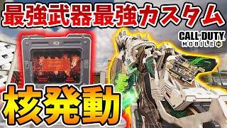 突って核発動！最強武器の最強カスタム確定！次シーズンもこれ最強です【CODモバイル】【Tanaka90】