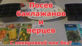 Посев перцев и баклажанов. С пикировкой или без пикировки?