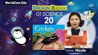 [ 브레인뱅크 G1 Science  ] 20. Crickets      by 세라샘 강의  ( Brain Bank )