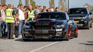 BEST OF Ford Mustang Sounds ! Alphamale Widebody, 400HP Ecoboost Mustang, GT350R, Roush Mustang