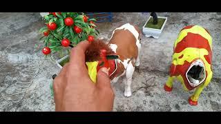 WADIDAU !! PROSES POTONG SAPI UNTA KUDA | MENCOCOKAN SAPI TANPA KEPALA#1