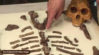 THE LUCY FRAUD! Medical Biologist Explains. #lucy #science #apeman