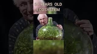 The oldest terrarium and  self-sustaining ecosystem #shorts #terrarium #experiment