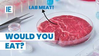 Is Lab-grown Meat is the Future of Meat?