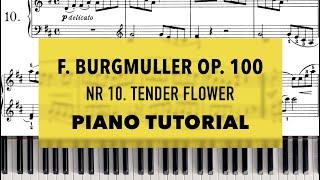 F.Burgmuller op.100 Nr.10 Tender Flower | Piano Tutorial