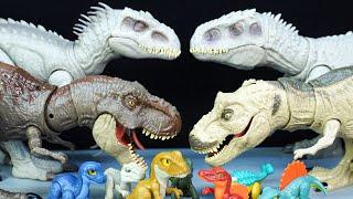 11 DINOSAURS: 2 BIG T-REX, 2 BIG INDOMINUS REX, SPINOSAURUS, TRICERATOPS, INDORAPTOR &.&. DKT-240712