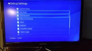 Debug Settings PS4