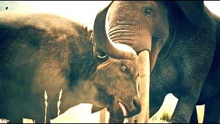 Make Miocene Elephant Attack African Buffalo in Ancestors |Ep68