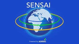 SENSAI - Your AI Assistant for Supply Chain Network Design