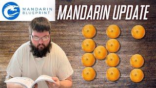 Mandarin learning update | Mandarin blueprint | How is it so far?