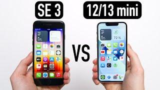 iPhone SE 3 vs iPhone 12 mini / 13 mini - Vergleich | Für wen lohnt sich welches mehr?