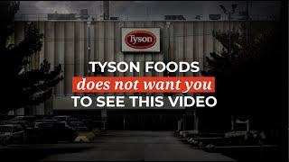 Tyson Foods does not want you to see this video  The Humane League