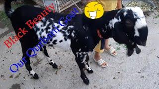 Bakra Eid Qurbani  latest video 2020