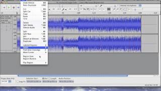 Audacity - How to Duplicate a track