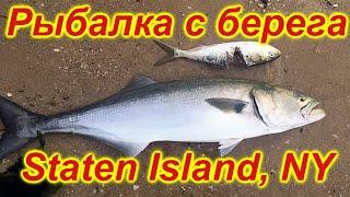 Нью ЙоркРыбалка с берегаТолько успевай тащить15 min = 15 kgFishing from the shoreNew York