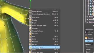 Tip73 Set Point Value In CINEMA 4D