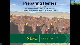 Backgrounding Cattle 2024:  Preparing Heifers