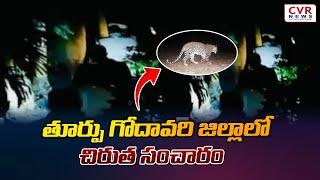 తూర్పు గోదావరి జిల్లాలో చిరుత సంచారం  | East Godavari district | CVR NEWS