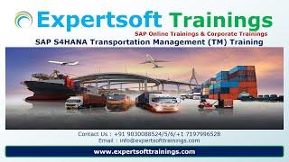 SAP S4HANA Transportation Management (TM) Training | SAP S4HANA TM 2023 Latest Version Training