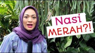 NASI MERAH? : Episode 36