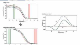 High Resolution Melt Analysis Tutorial