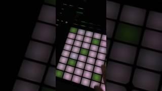 Ableton Live SYNC Kontakt Maschine