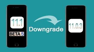 Downgrade iOS 11.1 Beta 5 to iOS 11.0.3 in One Click. Quick & Easy!