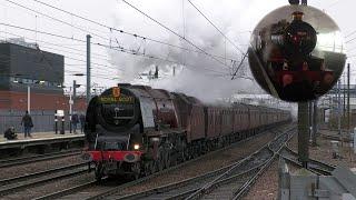 46233 Duchess of Sutherland & 7029 Clun Castle storm the ECML | The Christmas White Roses - 18.12.21