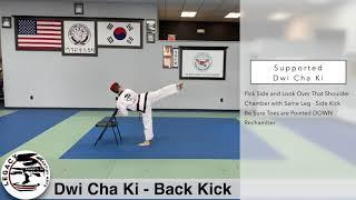 Legacy Martial Arts Back Kick