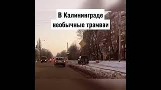 #shorts Необычный трамвай в Калининграде
