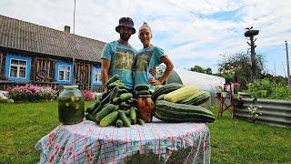 Жизнь в деревне БЕЗ СВЕТА! Заготовки на зиму при свете фонарей!