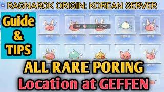 RARE PORING LOCATION AT GEFFEN | RAGNAROK ORIGIN:KOREAN SERVER | OBT (GUIDE & TIPS FOR BIGINNER'S)