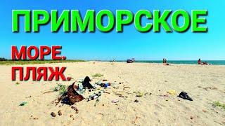 Приморское курорт. Одесские пляжи. Вилково. Море. Где отдохнуть. Закрытый пляж. Сасык. #зоотроп