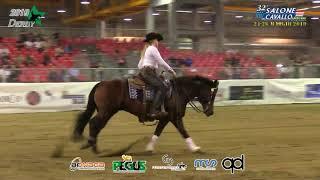 Derby 2019 - GRACE WILSON & JOKIN WHIZ score 212,5