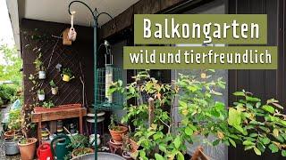 Wilder Balkon für Insekten | MDR Garten