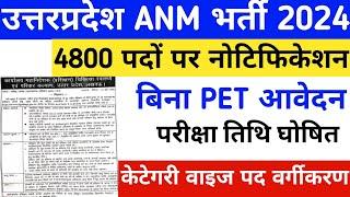 UP Anm vacancy 2024/up anm exam 2024/up anm latest news 2024/up anm new vacancy/up anm online form24