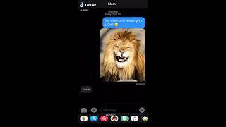 Tiktok Lion Sticker Text Prank by zar.r #Shorts