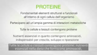 Herbalife - Protein Drink Mix