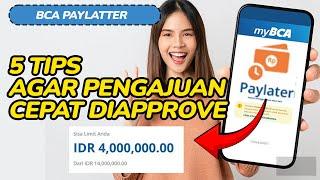 APA ITU PAYLATER BCA - Bahas Penjelasan, Syarat - Ketentuan & Cara Daftar  | LIMIT GEDE BANGET!