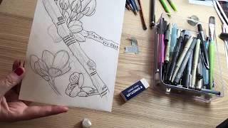 Comment dessiner #6 Fleurs de Sakura cerisier japonais [Tutoriel]